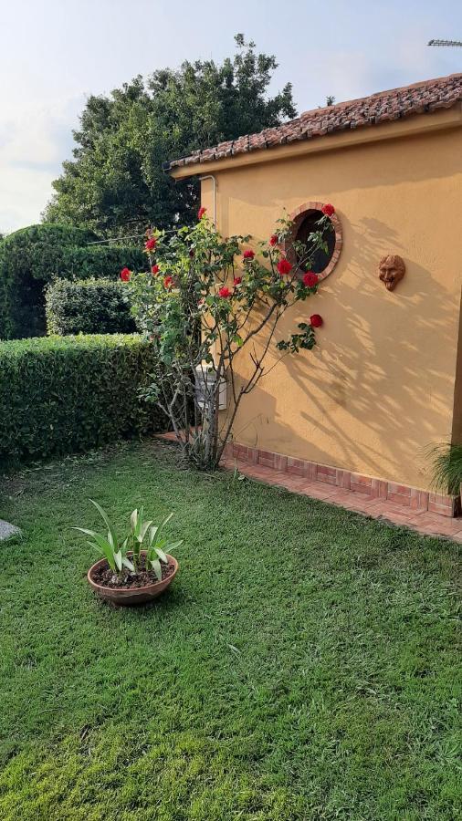 Casale Battaglini Bed and Breakfast Castelnuovo Cilento Buitenkant foto